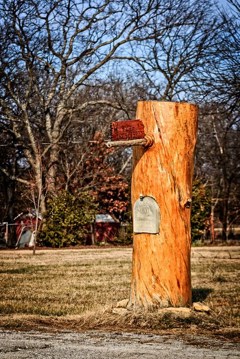 https://flic.kr/p/CJjA9f | tree stump mailbox Log Mailbox Post, Tree Mailbox Ideas, Stump Ideas, Cabin Remodel, Mailbox Landscaping, Mailbox Post, Forest Path, Sign Post, Tree Stump