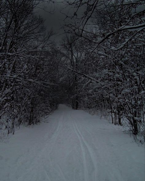 Woods Night, Evening Wallpaper, Snowy Evening, Snowy Woods, Snow Night, Winter Scenery, Snow Scenes, Winter Forest, Natural Life