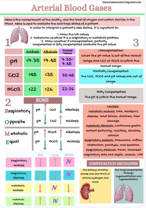 Nicu Nurse Education, Arterial Blood Gases, Charting For Nurses, Nursing School Studying Cheat Sheets, Nurse Skills, Medical Assistant Student, Arterial Blood Gas, Nursing School Essential, Nursing Study Guide