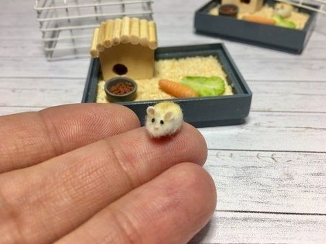 Doll House Pets, Funny Hamsters, A Hamster, Mini Doll House, Cute Small Animals, Cute Hamsters, Miniature Animals, Cute Clay, Miniature Crafts