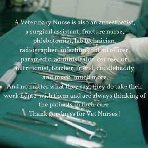 Veterinary Technician (Nurse) Vet Tech Quotes, Vet Tech Humor, Veterinarian Technician, Vet Tech School, Veterinary Nurse, Veterinary Tech, Vet Tech Student, Vet Technician, Tech Quotes