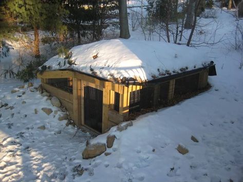 Earth-sheltered chicken coop (chickens forum at permies) Cheap Chicken Coops, Earth Sheltered, Big Crowd, Building A Chicken Coop, Backyard Chicken Coops, Diy Chicken Coop, Chicken Diy, Chicken House, Chicken Farm