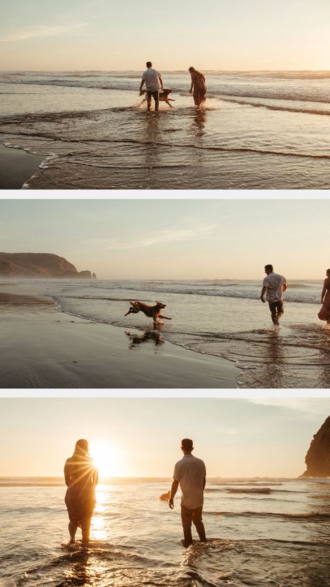 Dogs In Water Photography, Couples Photos With Dogs Beach, Couple And Dog Beach Photos, Beach With Dog Pictures, Dog Beach Engagement Photos, Family Beach Pictures With Dog, Couple And Dog Photoshoot Beach, Golden Retriever Engagement Photos, Dog Beach Photoshoot