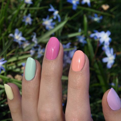 Different Colour Pastel Nails, Neutral Skittle Nails, Skittles Nails, Multi Color Pastel Nails, Pastal Nails, Skittle Nails, Pastel Multicoloured Nails, Spring Skittle Nails, Pastel Skittle Nails