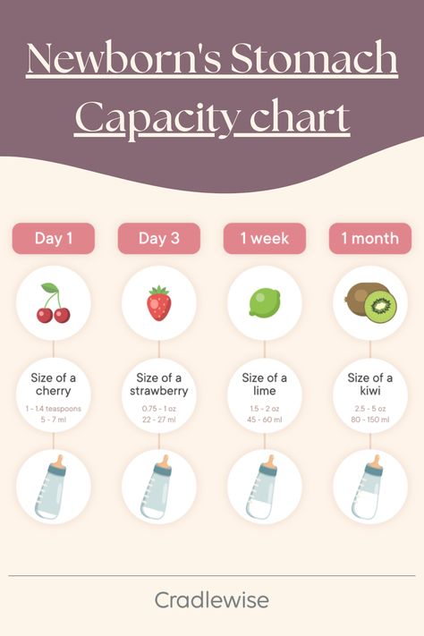 Read on this science backed article to know more about a late night feeding session for your baby and the ideal way to dream feed your baby Dream Feeding Baby, Sleeping Routine, Baby Sleep Routine, Dream Feed, Stages Of Sleep, Strawberry Lime, Sleep Consultant, Feeding Baby, Sleep Routine