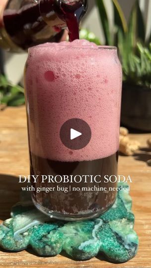 487K views · 26K reactions | DIY Probiotic Soda (with Ginger Bug) | DIY Probiotic Soda (with Ginger Bug) | By Crowded Kitchen | Did you know you can make
probiotic sodas at home without a fancy machine? The first
thing you'll need to do is make a ginger bug. It's basically
like sourdough starter but it's just organic ginger, sugar, and
water. The natural yeast and bacteria will begin to ferment
the sugar after several days at room temp. Feed the mixture
with more sugar and ginger every day. Here it is on day
two and day five. After about a week, you can refrigerate it or
make soda. Sanitize Swing Top bottles. Strain the ginger from
the ginger bug then pour an ounce or two of the ginger bug
into bottle. Top it off with juice. It's important to use
one that has some sugar in it otherwise it Natural Soda, Ginger Bug, Healthy Soda, Natural Yeast, Homemade Soda, Probiotic Drinks, Fermentation Recipes, Soda Recipe, Fermented Drink