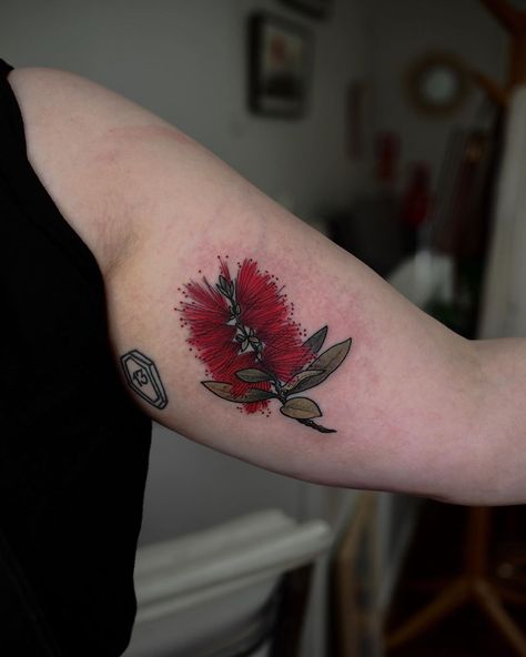 Bottlebrush Tattoo, Bottlebrush Flower, Grandma Tattoos, Bottle Brush, Get A Tattoo, Maple Leaf Tattoo, Flower Tattoo, Tattoos, Beauty