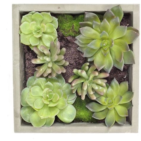 Gold Eagle Mixed Succulents Square Wall Planter ($71) ❤ liked on Polyvore featuring fillers Green Filler Photos, Gold Planter, Gold Home Accessories, Filler Photos, Succulent Wall Art, Succulent Planters, Succulent Art, Plants Green, Hanging Succulents