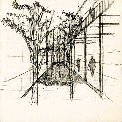 Ceylon Health Club courtydard Courtyard Sketch, Conceptual Sketches, Alice In Wonderland Book, Concept Models Architecture, City Sketch, Nature Sketch, Architecture Concept Diagram, Architecture Sketchbook, Architecture Design Sketch