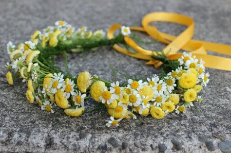 Sweet Fresh Floral Bridal Crown Of: Chamomile + Feverfew Yellow Flower Crown, Yellow Weddings, Crown Halo, Cheap Wedding Flowers, Portland Oregon Wedding, Wedding Image, Hair Crown, Floral Crowns, Hair Flowers