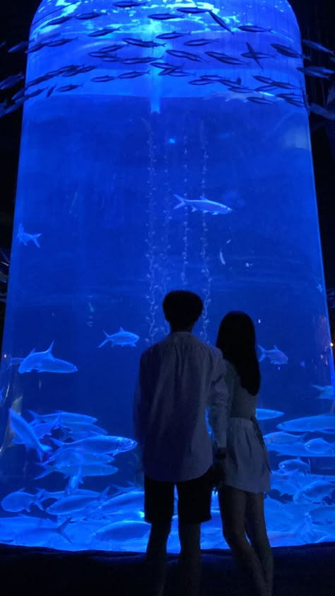 Couple Goal Dates, Aquarium Date Aesthetic, Ullzang Couples, Aquarium Date, Cute Date Ideas, Dream Date, Couple Selfies, Ulzzang Couple, Cute Couples Photos