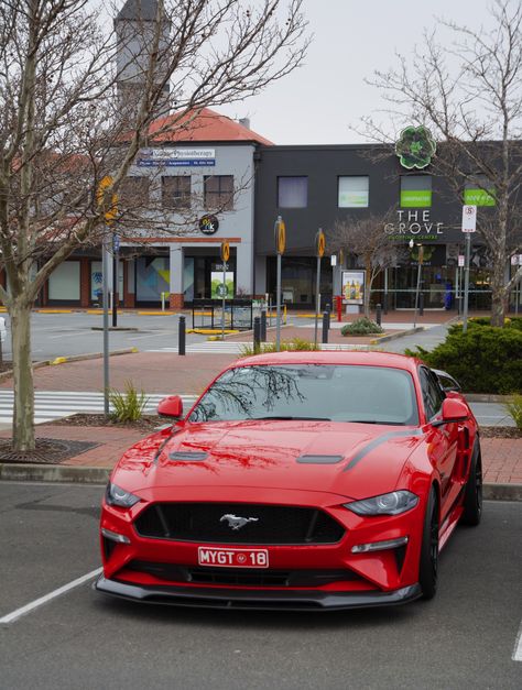 Red Ford Mustang, 2018 Mustang Gt, Mustang 2016, 2018 Mustang, Ford Mustang 2016, Mustang 2018, Red Mustang, Cars Mustang, Muscle Cars Mustang