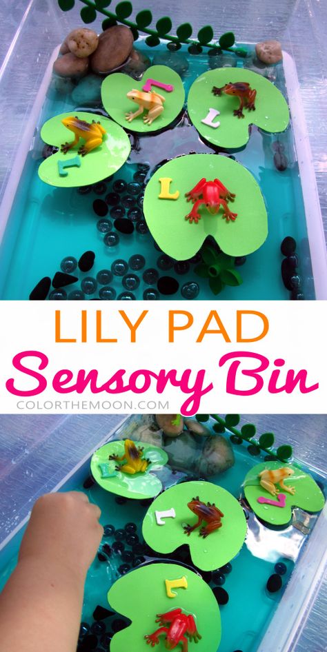 This Lily Pad sensory bin is SO FUN and so easy to make! What a great way to teach kids about the letter L! Letter L Sensory Activities, L Preschool Activities, Pond Life Sensory Bin, Letter L Sensory Bin, Letter F Sensory Bin, Nature Sensory Bin, Letter A Sensory Bin, Letter L Activities For Toddlers, Frog Sensory Bin