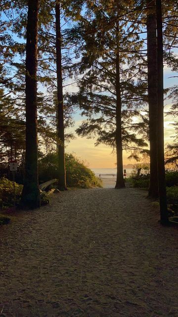 Beach With Forest, Chesterman Beach Tofino, Beach Next To Forest, Tofino Aesthetic, Canada Scenery, Forest And Beach, Cosy Summer, Tofino British Columbia, Salted Granola