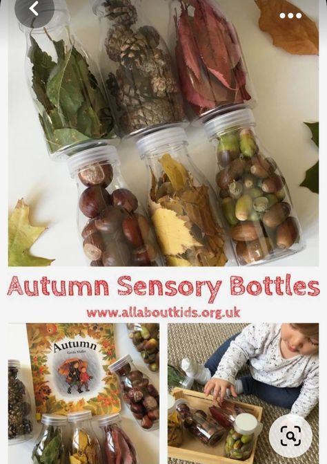 Autumn Activities For Babies, Autumn Eyfs Activities, Kids Food Activities, Baby Room Activities, Autumn Eyfs, Sensory Bottle, November Activities, Fall Preschool Activities, Eyfs Activities