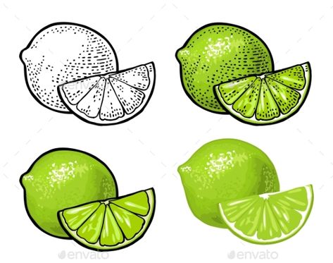 Lime Slice and Whole #Lime, #Slice Lime Slice Drawing, Lime Drawings Fruit, Lime Slice Tattoo, Lime Drawings, Lime Illustration, Drawing Fruits, Mango Vector, Menu Poster, Lime Slice