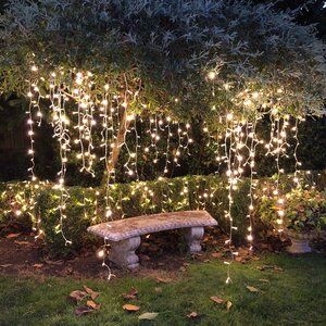 Hanging Tree Lights, Fairy Lights In Trees, Eglo Lighting, Bridal Backdrops, Icicle Christmas Lights, Light Up Tree, Outdoor Fairy Lights, Icicle Lights, Vintage Bulb