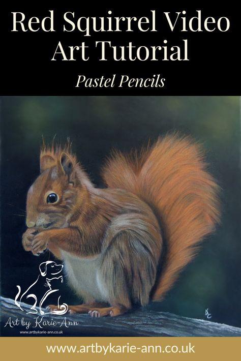 Use my Pastel Pencil Red Squirrel Art Tutorial in pastel to create your own beautiful wildlife art. My art tutorials can be bought stand alone or you can join my Pencil Art Academy https://www.artbykarie-ann.co.uk/courses/membership Pencil Art Tutorial, Pastel Pencil Art, Soft Pastels Drawing, Beautiful Wildlife, Squirrel Art, Soft Pastel Art, Colored Pencil Tutorial, Pastel Artwork, Pastel Pencils