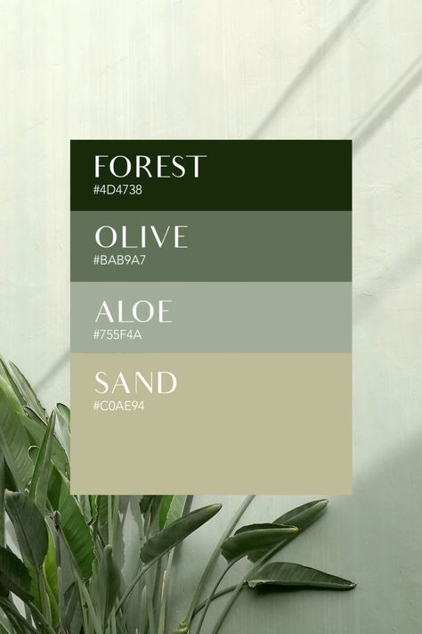 Brand Concept Board, Mockup Inspiration, Sage Color Palette, Recuerdos Primera Comunion Ideas, Green Branding, Colour Palette Inspiration, Color Design Inspiration, Hex Color Palette, Green Color Schemes