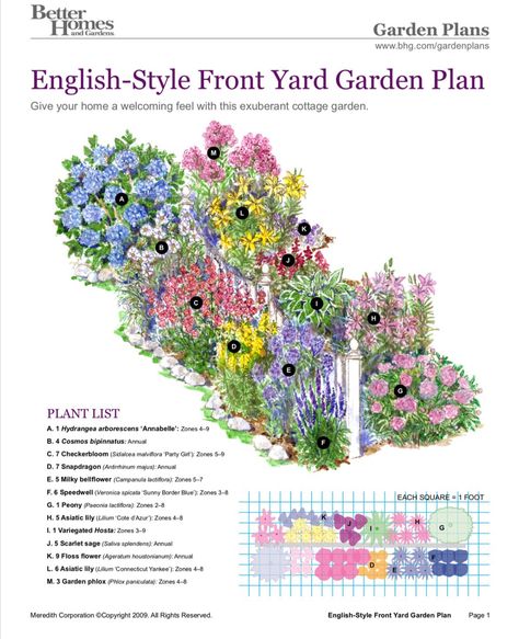 Front Yard Peony Garden, Hydrangea Arborescens Annabelle, Flower Garden Layouts, Garden Layouts, Hydrangea Arborescens, Peony Garden, Paeonia Lactiflora, Asiatic Lilies, Small Backyard Gardens