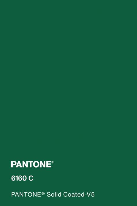 #pantone #green #color #pantone6160c Pantone Solid Coated, Personal Color Palette, Third Culture Kids, Pantone Green, Color Mood Board, Color Design Inspiration, Color Mood, Personal Color, Polymer Clay Resin