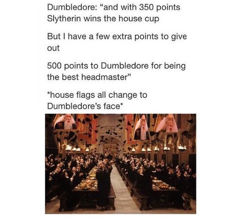 #harrypotter #chamberofsecrets #dumbledore Harry Potter Memes Hilarious, Harry Potter Pin, Fantastic Beasts And Where, Mischief Managed, James Potter, Year 1, Harry Potter Funny, Harry Potter Memes, Harry Potter Fan