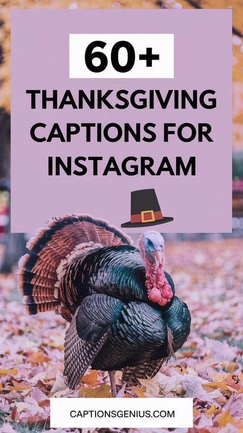 Image features a large turkey standing on fallen autumn leaves, symbolizing Thanksgiving. The text "60+ Thanksgiving Captions for Instagram" is displayed prominently at the top in bold, black letters, with a small pilgrim hat icon adding a festive touch. The overall design highlights the autumn theme with earthy tones and a traditional Thanksgiving feel, perfect for holiday-themed Instagram posts or caption inspiration. Turkey Captions Instagram, Thanksgiving Ig Captions, Thanksgiving Post Instagram, Thanksgiving Captions For Instagram, Beach Insta Captions, Thanksgiving Instagram Captions, Thanksgiving Captions, Facebook Captions, Thanksgiving Post