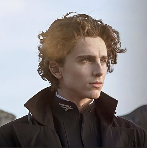 paul atreides. dune 2021 Dune Art, Paul Atreides, Denis Villeneuve, Timmy T, Regulus Black, Fictional Crushes, Timothee Chalamet, The Marauders, Film Serie