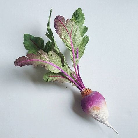 Crepep Paper turnip Veggie Box, Plant Study, Paper Leaves, Crepe Paper Flowers, Paper Flower Tutorial, Pretty Plants, Fruit And Veg, Crepe Paper, Flower Tutorial