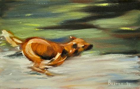 Vladimir I - "Perro corriendo" Running Painting, Dog Running, Running Dog, Dog Painting, Dog Runs, Dog Paintings, Painting Oil, Art Artist, Saatchi Art