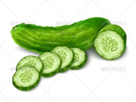 Cucumber Vegetable Drawing, Cucumber Benefits, Cucumber Canning, Cucumber Diet, Cucumber Juice, Cucumber Sandwiches, Watercolor Food, Lose 15 Pounds, Pineapple Smoothie