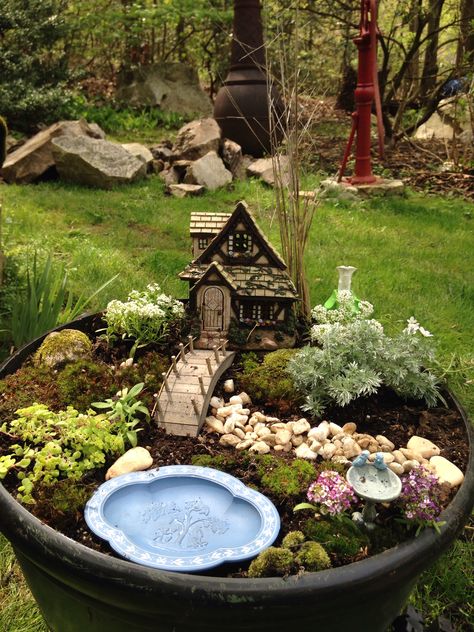 My Fairy Garden Magical Front Yard Landscaping, Fairy Garden How To, Fairy Garden Basket, Fairy Village Garden, Fairy Garden With Water Feature, Woodland Fairy Garden, Fairy Garden Planter Ideas, Farm Fairy Garden Ideas, Small Fairy Garden Ideas