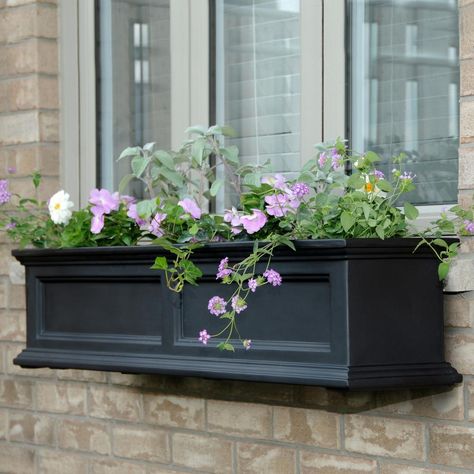 Mayne Self-Watering Fairfield 11 in. x 48 in. Plastic Window Box - 5823B - The Home Depot Black Window Box, Plant Window, Window Box Flowers, Window Planters, Window Planter Boxes, Self Watering Planter, Garden Windows, Window Boxes, Self Watering