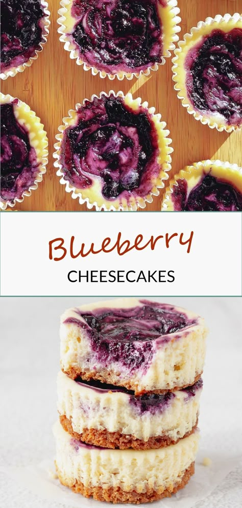 Cupcake Pan Recipes Deserts, Cupcake Pan Cheesecakes, Mini Blueberry Cheesecakes No Bake, Blueberry Cheesecake Cupcakes Recipe, Blueberry Cheesecake Muffins Recipes, Mini Cheesecakes Blueberry, Muffin Pan Cheesecake Recipes, Mini Cheesecakes In Muffin Tin, Cupcake Pan Desserts