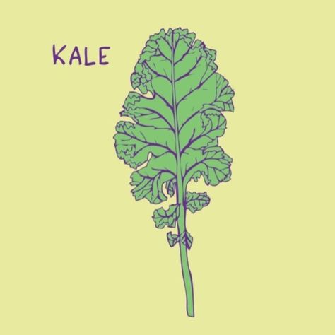 Kale Tattoo, Kale Drawing, Kale Leaf, Kale Plant, Fruit Embroidery, Amsterdam Tattoo, Kale Leaves, Illustration Art Kids, Pretty Crafts