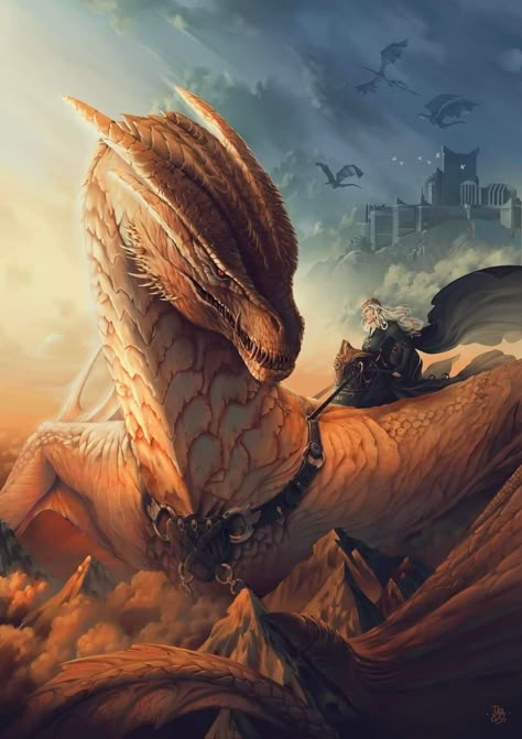 Syrax Dragon, Game Of Thrones Story, Queen Rhaenyra, Game Of Thrones Poster, Dragon Icon, Game Of Thrones Dragons, Got Dragons, Wings Of Fire Dragons, Targaryen Art