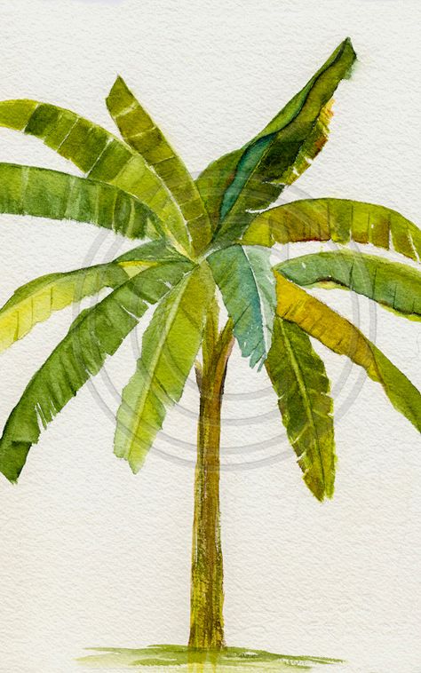 Banana Tree Watercolor, Banana Tree Painting, Tree Palm, Tree Watercolor Painting, Banana Palm, Tree Watercolor, Tree Sketches, Palm Trees Beach, Pencil Shading