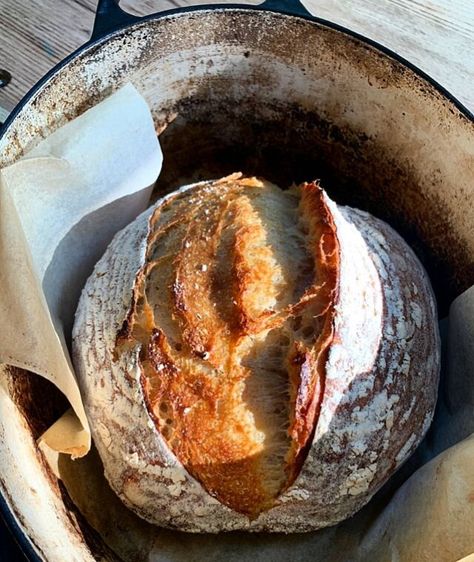 Country Loaf Bread Recipe, Artesian Bread, Sourdough Recipe, Dutch Oven Bread, Healthy Bread Recipes, Country Bread, Sourdough Baking, No Knead Bread, Dessert Pictures