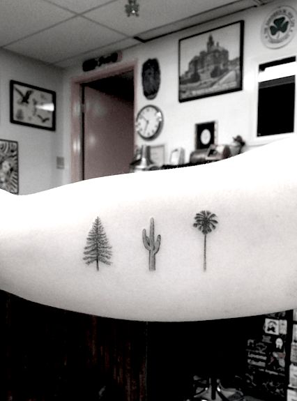 Gallery Follows the Text In 2015 we saw a ton of spectacular tattoos. Incredible designs were unleashed into the tattoo world on the daily. It's safe to say that the artists of today continue to de... Woo Tattoo, Dr Woo Tattoo, Tree Tattoo Ankle, Palm Tree Tattoo Ankle, Evergreen Tree Tattoo, Pine Tattoo, Cactus Tree, Tattoo Tree, Dr Woo