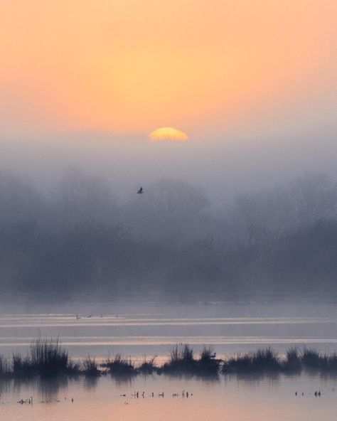 Watercolor Sky, Misty Morning, William Turner, Sky Painting, Watercolor Landscape Paintings, Nature Aesthetic, Landscape Photographers, Art Abstrait, Landscape Photos