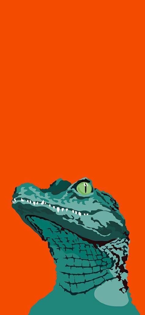 Alligator Wallpaper, Crocodile Illustration, Tattoo Animals, Arte Peculiar, Posca Art, Animal Wallpaper, Funky Art, Painting Inspiration, Aesthetic Art