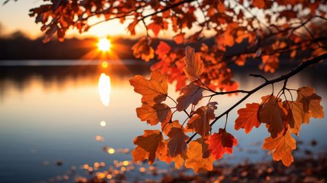 Autumn Wallpaper Samsung, Tv Wallpaper Background, Pc Wallpaper Fall, Fall Desktop Wallpaper Hd 1080p, Autumn Desktop Wallpaper Aesthetic, Autumn Pc Wallpaper, Autumn Aesthetic Desktop Wallpaper, Fall Wallpaper Laptop Desktop Wallpapers, Fall Backgrounds Desktop