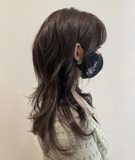 Layered Grunge Hair, Wolfcut Layered Hair, Wolfcut Medium Hair, Medium Wolfcut, Layered Hair Asian, Hush Cut, Wolf Haircut, Hair Inspiration Long, How To Cut Bangs