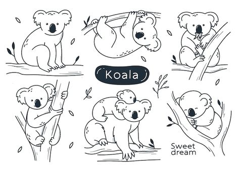 Koala Drawing Simple, Burn Hats, Biomimicry Design, Koala Cute, Cute Koalas, Koala Tattoo, Koala Illustration, Koala Drawing, Koala Art