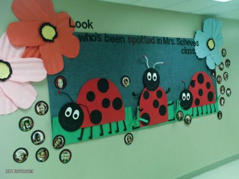 152 best Bulletin board and door Ladybird Classroom Decor, Classroom Ladybug Theme, Ladybug Bulletin Boards, Bulletin Boarders, Garden Theme Classroom, Ladybug Room, Classroom Banner, Ladybug Theme, Vbs Themes