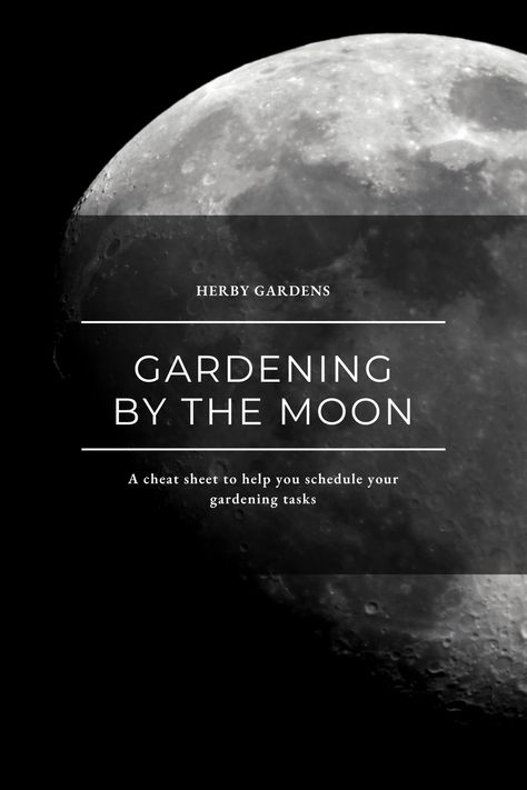 Gardening by the Moon Cheat Sheet - Herby Gardens When To Plant Tomatoes, Gardening By The Moon, Plant Tomatoes, Seed Germination, Root Growth, Parts Of A Plant, Replant, Tomato Plants, Plant Roots