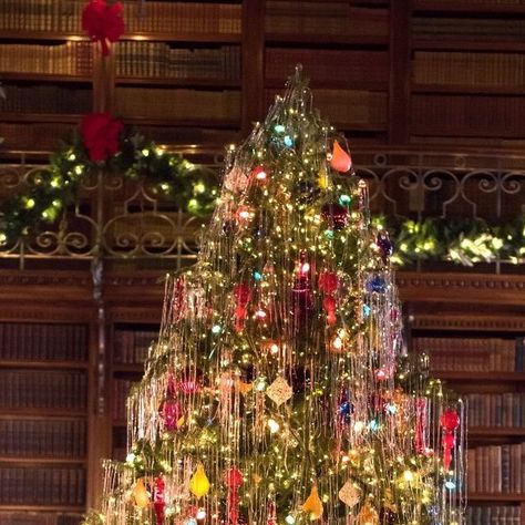 Biltmore on Instagram: "It's time to make one of the most difficult decisions of the year...which of these decorated Christmas trees in Biltmore House is your favorite? Comment below! ⬇ 📷#1: The Library 📷#2: Mrs. Vanderbilt's Room 📷#3: The Damask Room" Shop Tinsel Tree, Biltmore House Christmas, Chriatmas Tree With Tinsel Garland, Biltmore Estate At Christmas, The Biltmore Estate Christmas, Biltmore Christmas, Biltmore House, Grand Homes, Christmas Aesthetic