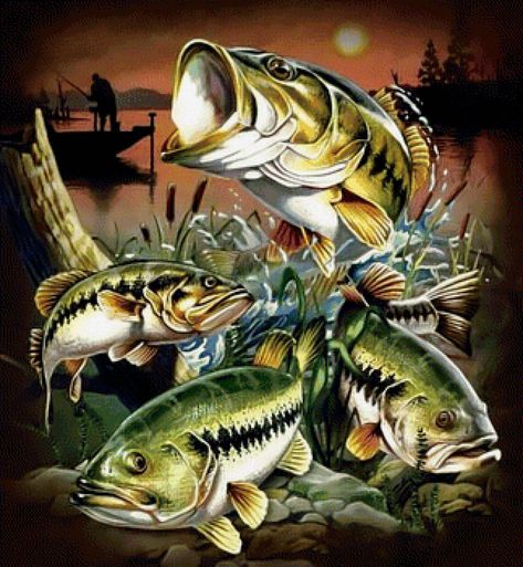 Bass Fishing Pictures, Fish In The Ocean, Number Painting, Bass Fishing Shirts, Fish Artwork, Cute Hairstyles For School, Fishing Pictures, Clay Crafts Air Dry, Diy Oils