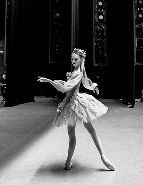 pinterest: heddiling Kristina Webb, Rudolf Nureyev, Ballet Academy, Ballet Beauty, Ballet Poses, Ballet Inspiration, Ballet Photos, Dancing Aesthetic, Classical Ballet