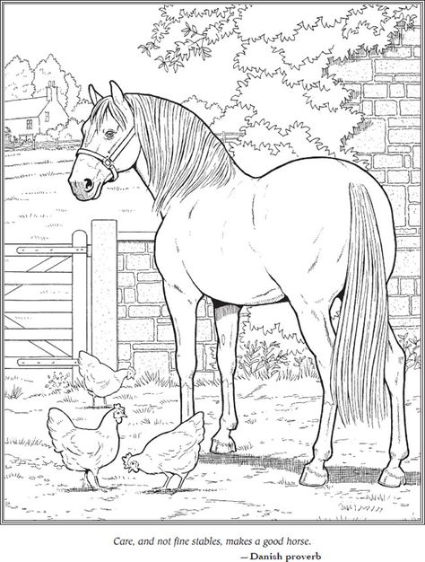 Welcome to Dover Publications Dover Coloring Pages, Dover Publications Coloring, Farm Embroidery, Horse Coloring Books, Chibi Coloring Pages, Horse Sketch, Horse Coloring Pages, Dover Publications, Pony Club